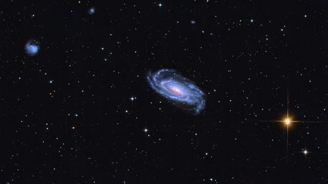NGC 5033 mit Supernova SN2025mvn
