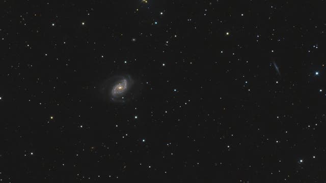 NGC 5248 im Sternbild Bootes