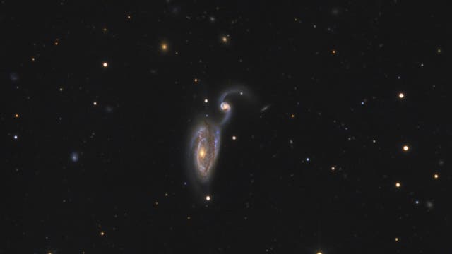 Arp 84 (NGC 5394/5395)