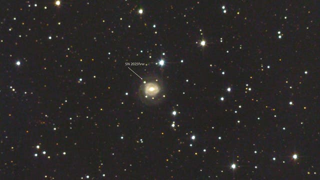 Letzter Blick auf die SN2025fvw in NGC 5957