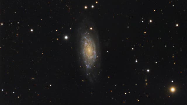NGC 6015