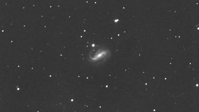 NGC 613 - Balkenspirale mit AGN im Sternbild Bildhauer 