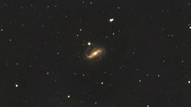 Endlich geschafft:     NGC 613   Balkenspirale mit AGN im Bildhauer
