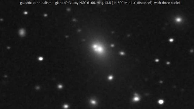 NGC 6166 - der galaktische Kannibale