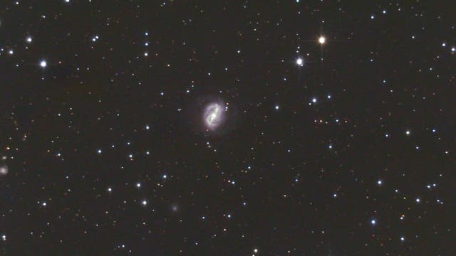 NGC 6217  Balkenspirale in Ursa Minor