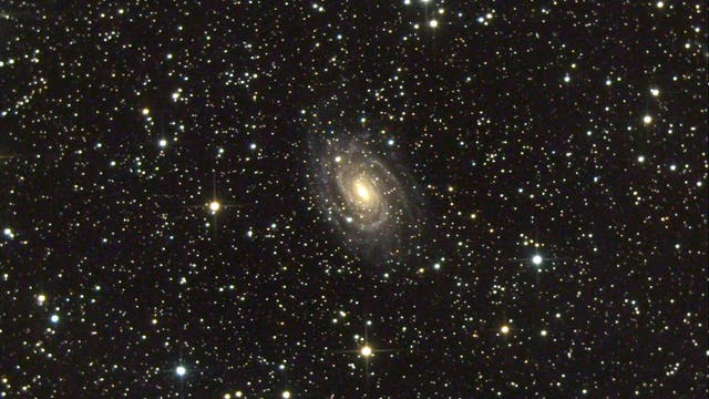 NGC 6384 - Balkenspirale mit AGN im Sternbild Schlangenträger