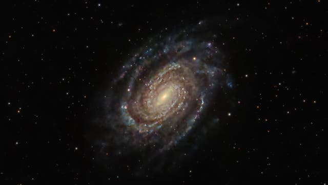 NGC 6384: Galaxy in Ophiuchus 
