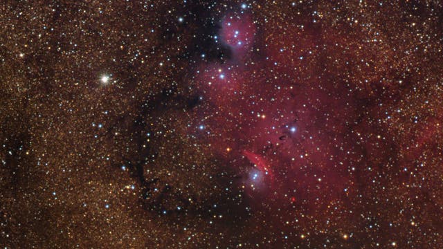 NGC 6559