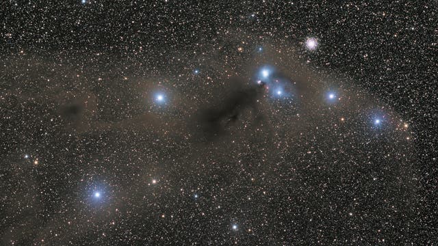 Reflexionsnebel NGC 6729/26/27 und Dunkelwolken
