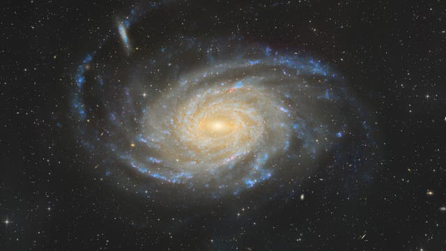 Pavo Galaxie - zehnjähriges Jubiläum am Südhimmel