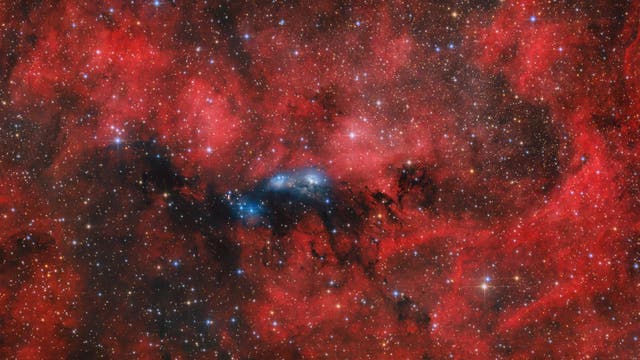 NGC 6914 – Sternengeburten im Schwan
