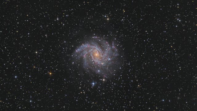 Spiralgalaxie NGC 6946
