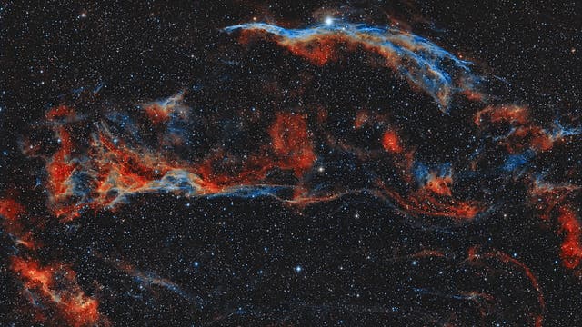 Der Sturmvogel - NGC6960