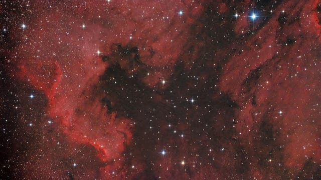 NGC 7000 und IC 5067 oder ein Pelikan trifft auf Nordamerika