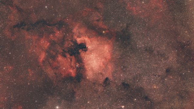 Nordamerika-Nebel NGC 7000