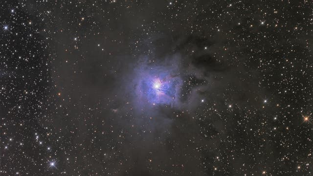 NGC 7023, Irisnebel