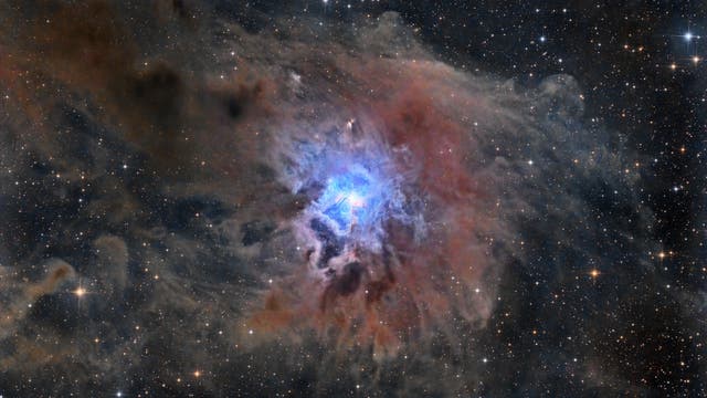 NGC 7023 - Irisnebel