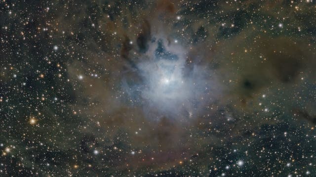 NGC 7023: Der Irisnebel