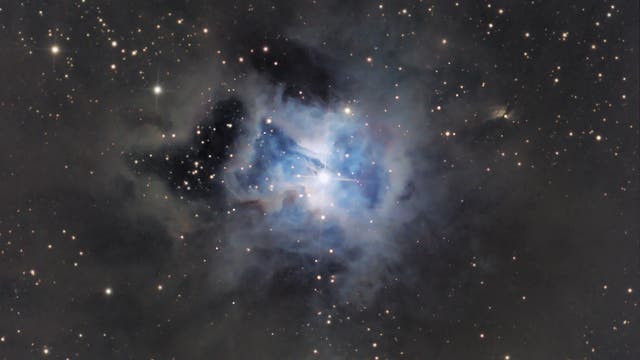 NGC 7023 - Irisnebel close-up
