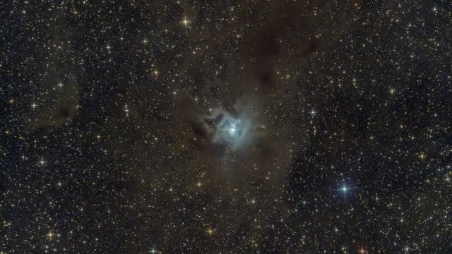 NGC 7023 (Irisnebel)