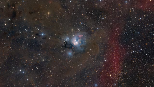 NGC 7129 - Kosmische Rosenknospe