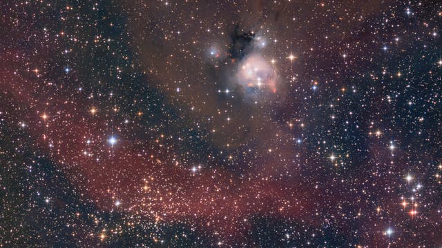 Offener Sternhaufen NGC 7142 und Reflexionsnebel IC 5134