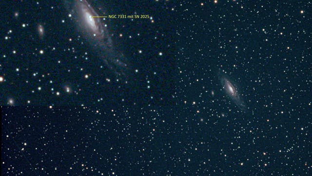 Supernova in NGC 7331