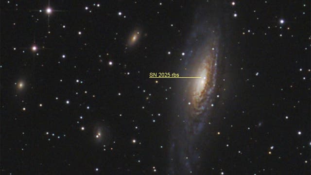 NGC 7331 mit SN 2025 rbs (Objekte)
