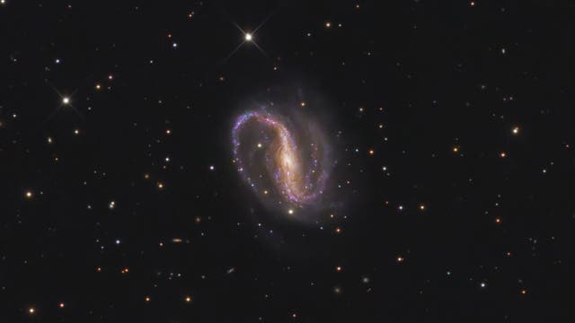 NGC 7479, nahe am Limit meines 12-Zöllers