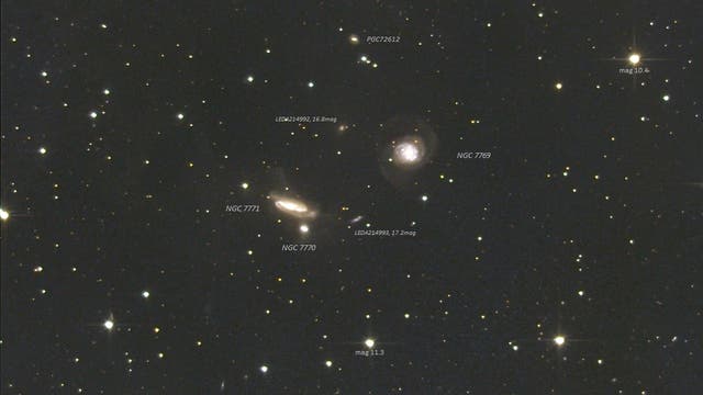 NGC 7769 und das wechselwirkende Paar NGC 7770/7771 im Sternbild Pegasus (Objekte)