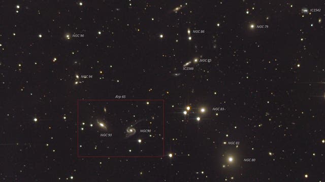 Die NGC-80-Galaxiengruppe mit Arp 65 im Pegasus (Objekte)