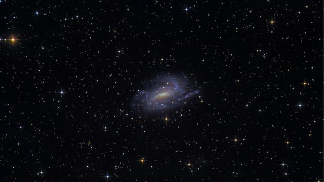 NGC 925