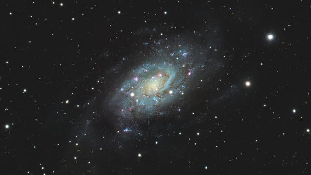 NGC 2403 in der Giraffe