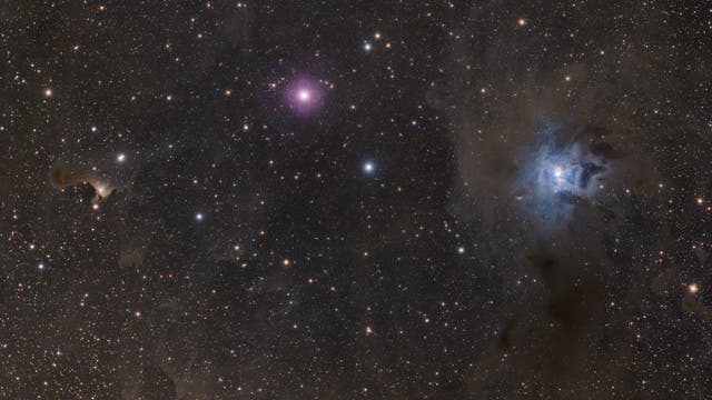 NGC 7023, vdB 141 und T Cephei im Maximum