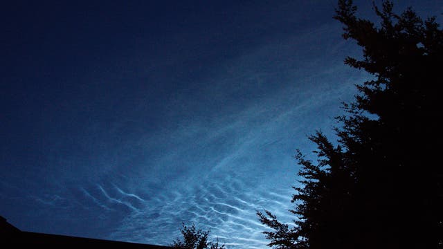 NLC - leuchtende Nachtwolken über der Nordeifel im Hürtgenwald - 3