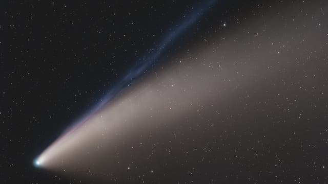 Komet Neowise - Closeup