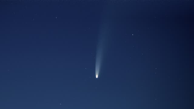 Komet Newowise