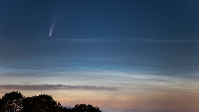 Komet Neowise in der Morgendämmerung