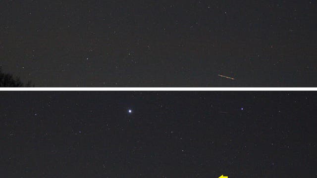 Pallas im Sternbild Großer Hund am 14. Februar 2023