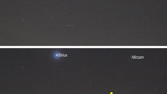 Pallas im Sternbild Großer Hund am 15. Februar 2023