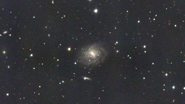 Was ist »New1«?