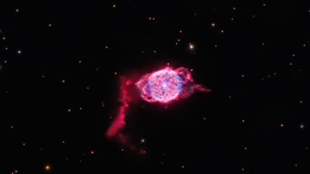 NGC 40: the »Bow Tie« nebula