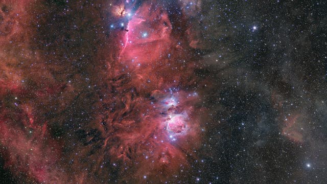 Unter der Gürtellinie - Orion Zentral