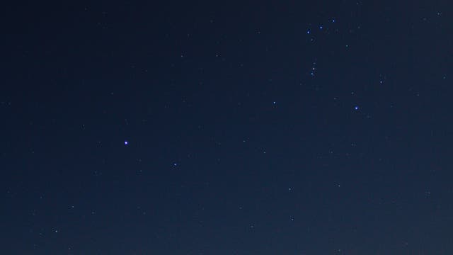 Orion und Großer Hund im hellen Mondlicht