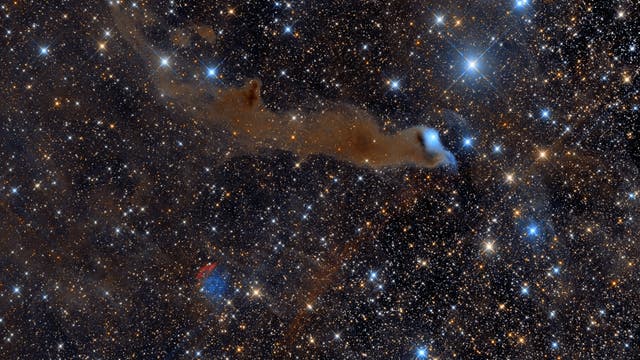 Van den Berg 152 reflection nebula