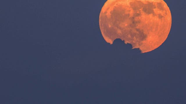 Second shot / Full deer moon