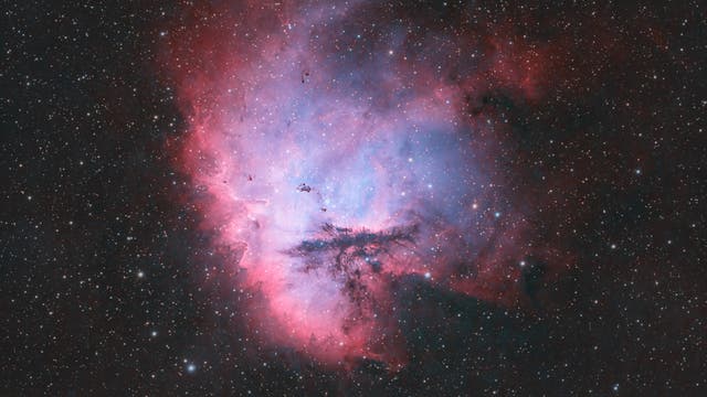 NGC 281/Pacman-Nebel