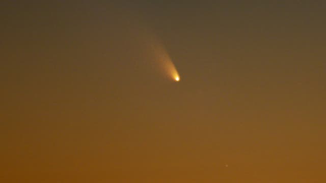 Komet PANSTARRS und Uranus