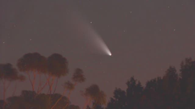 Komet Panstarrs am Horizont