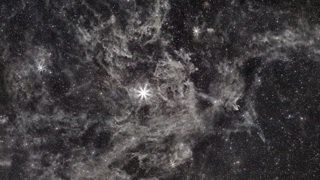 Polaris mit IFN